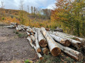 img-20261028-wa0010.jpg