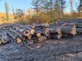 img-20261028-wa0021.jpg