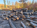 img-20261028-wa0026.jpg