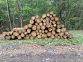 img-20261005-wa0018_1.jpg