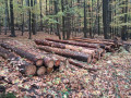 img-20261028-wa0017.jpg