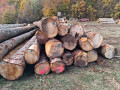 img-20261028-wa0002.jpg