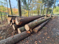 img-20261028-wa0003.jpg