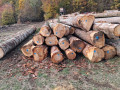 img-20261028-wa0004.jpg