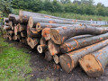 img-20241004-wa0006.jpg