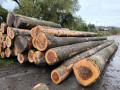 img-20241004-wa0014.jpg