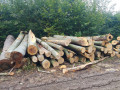 img-20241004-wa0013.jpg