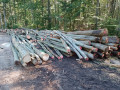 img-20241002-wa0024.jpg