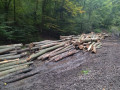 img-20241002-wa0020.jpg
