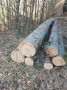 img-20250415-wa0003.jpg
