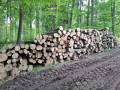 img-20250605-wa0005.jpg