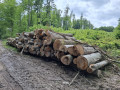 img-20250605-wa0002.jpg