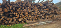 img-20251013-wa0005.jpg