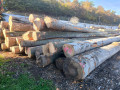 img-20251016-wa0004.jpg