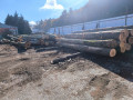 img-20251016-wa0000.jpg