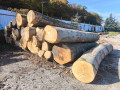 img-20251016-wa0001.jpg