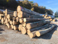 img-20251016-wa0002.jpg