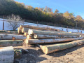 img-20251016-wa0003.jpg
