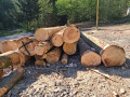 img-20260430-wa0007.jpg