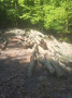 img-20260430-wa0011.jpg