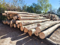 img-20260430-wa0001.jpg