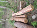 20260507_091722.jpg
