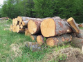 20260507_091852.jpg