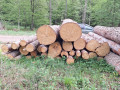 20260507_092412.jpg