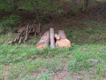 20260507_093625.jpg