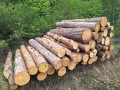 20260507_095426.jpg