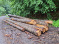 img-20260605-wa0003.jpg