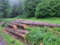 img-20260605-wa0006.jpg
