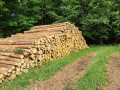 img-20260605-wa0002.jpg