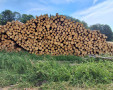 img-20260701-wa0017.jpg