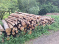 20260708_080149.jpg