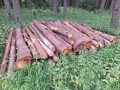 20260708_081611.jpg