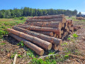 img-20260724-wa0021.jpg