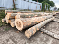 img-20260727-wa0001.jpg