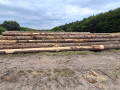 img-20260727-wa0004.jpg