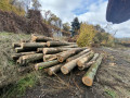 img-20261026-wa0001.jpg