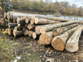 img-20261026-wa0009.jpg