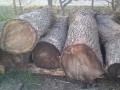 dsc00228.jpg