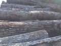 img00027-20090708-1748.jpg