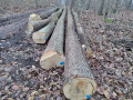 img_20231127_132858.jpg