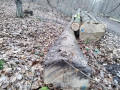 img_20231127_133458.jpg