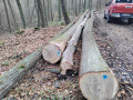 img_20231127_135150.jpg