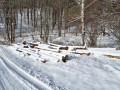 20231129_101434.jpg