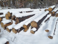 20231129_103240.jpg