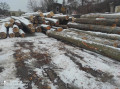 img-20231130-wa0024.jpg