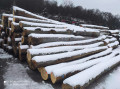 img-20231130-wa0025.jpg